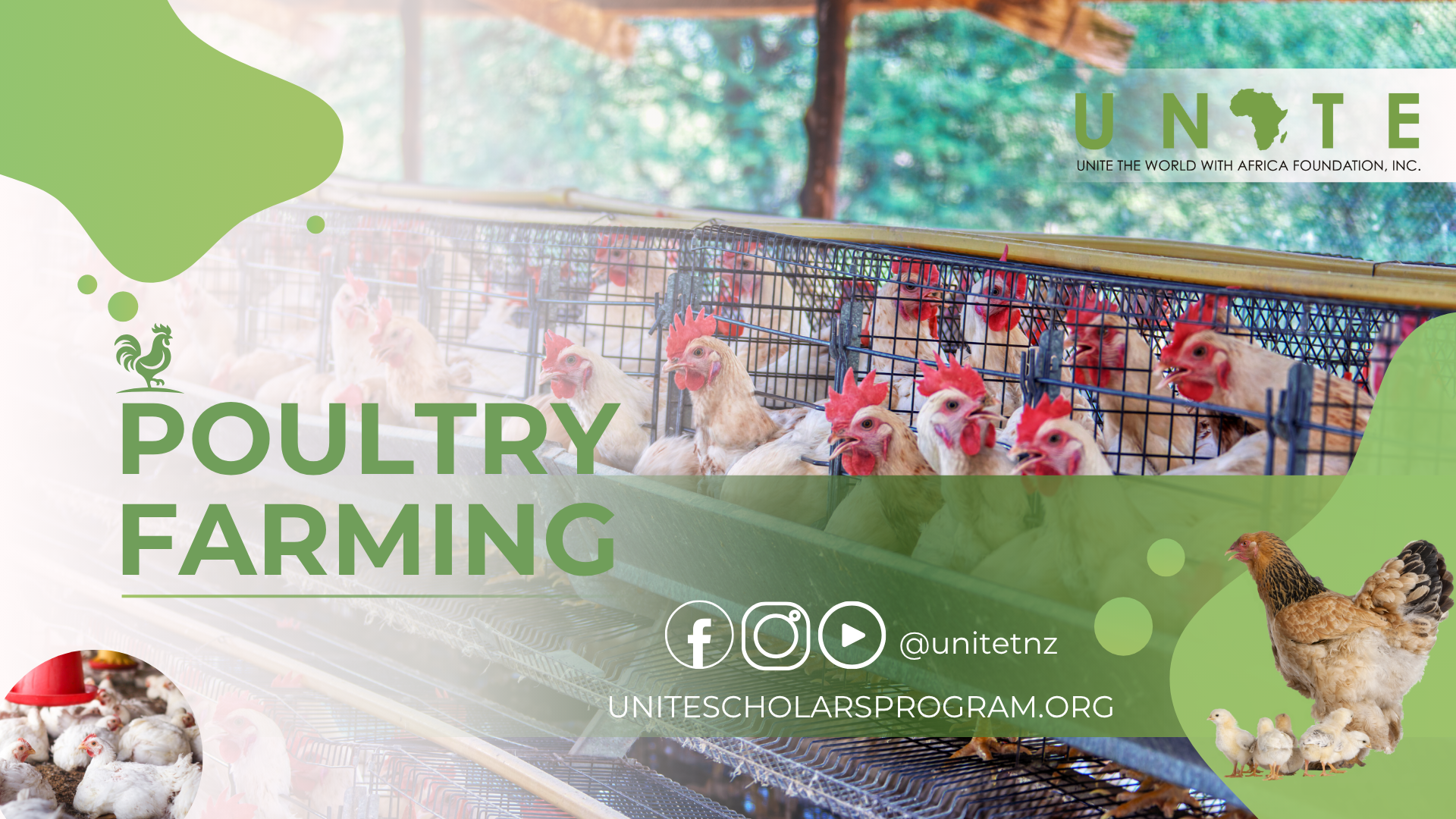 Poultry Farming